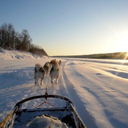 Arctic Home Rovaniemi Luaran gambar