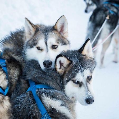 Arctic Home Rovaniemi Luaran gambar