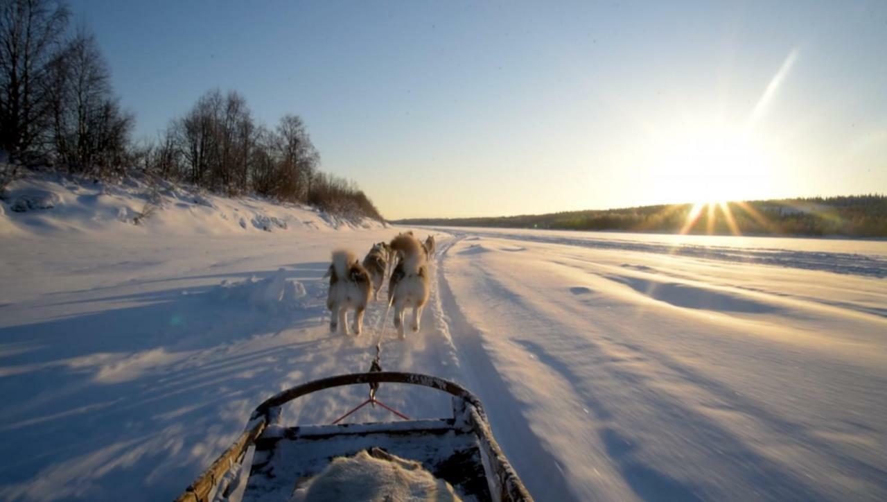 Arctic Home Rovaniemi Luaran gambar
